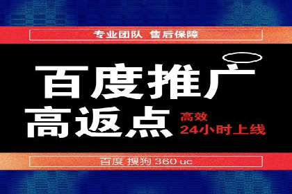 百度竞价推广的成功案例：企业如何快速提升品牌知名度